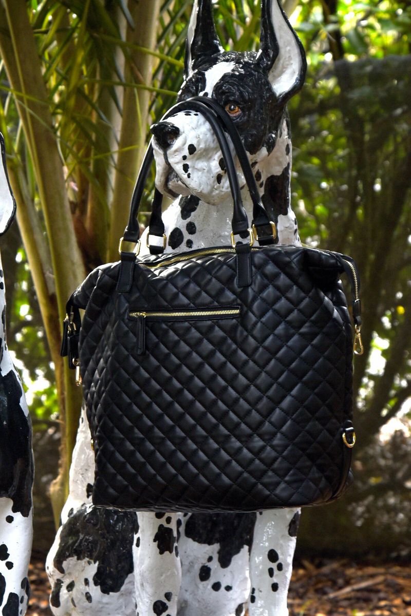 									NOT QUILTY BAG
			
