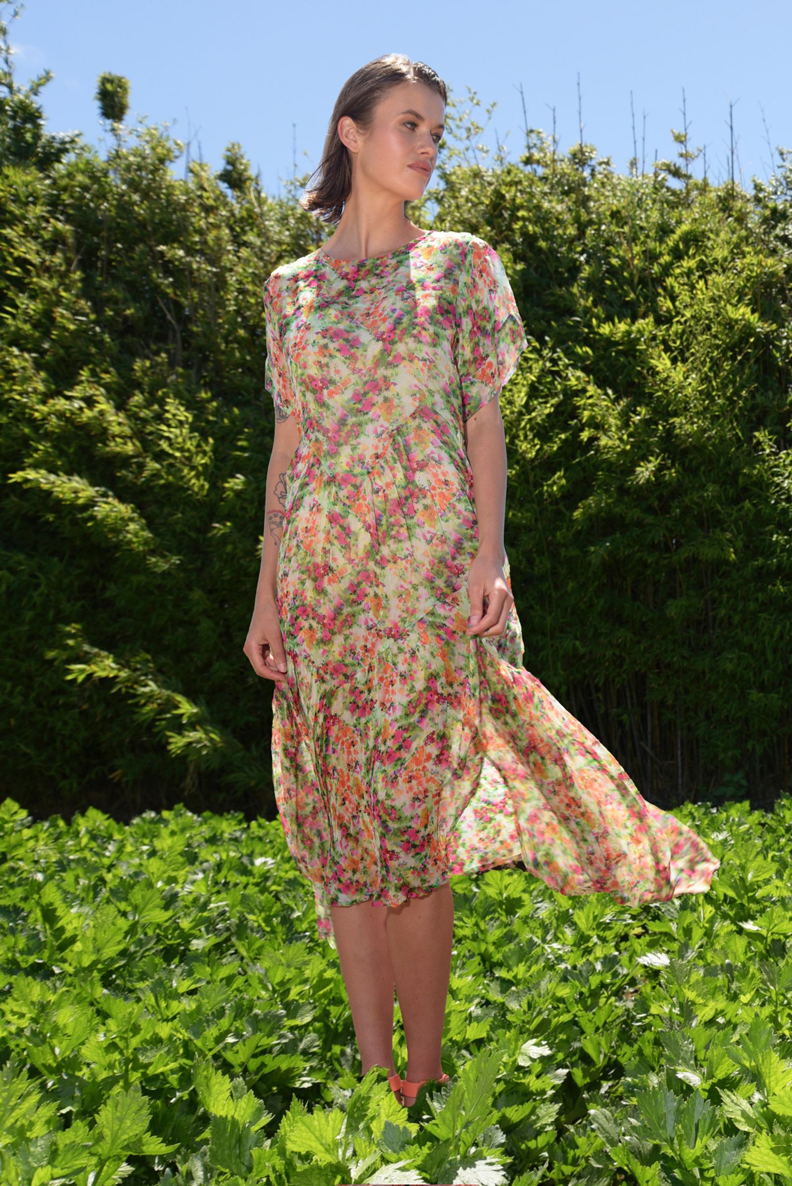 									FRILL OF THE CARNIVAL DRESS
			