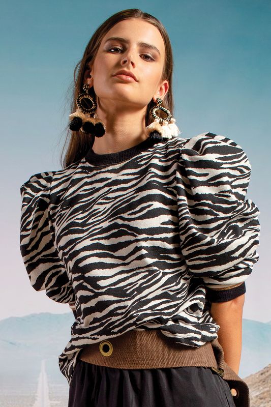 									JUMPING ZEBRAS JERSEY
			