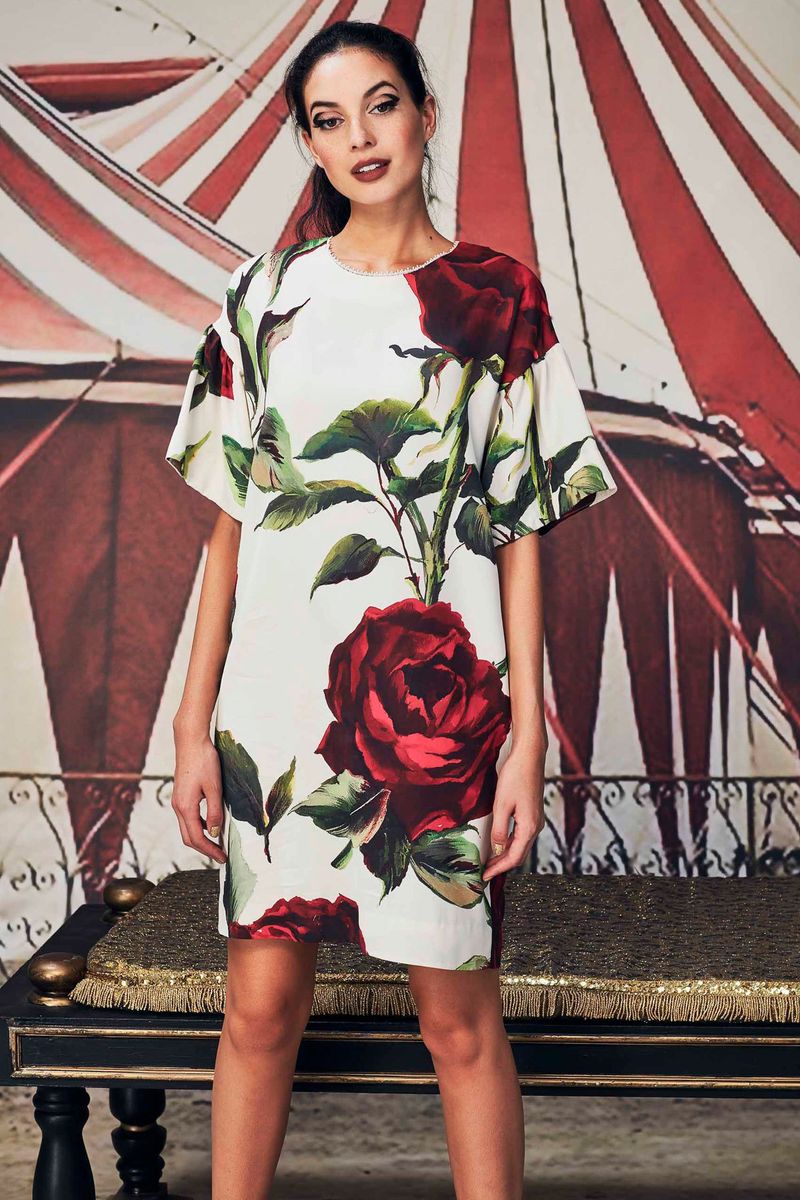 									THE SHOW ROSE ON DRESS
			