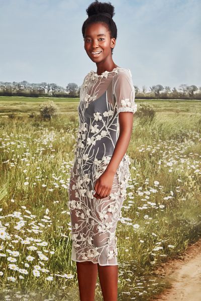 									CHAMPAGNE AND STARS DRESS
			